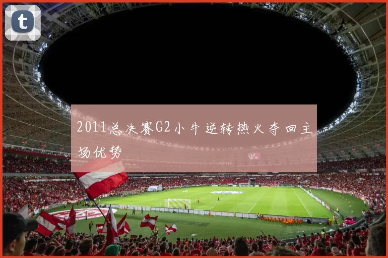 2011总决赛G2小牛逆转热火夺回主场优势