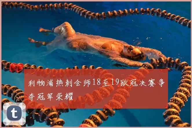 利物浦热刺会师18至19欧冠决赛争夺冠军荣耀