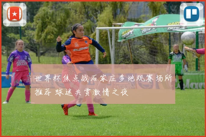 世界杯焦点战石家庄多地观赛场所推荐 球迷共赏激情之夜